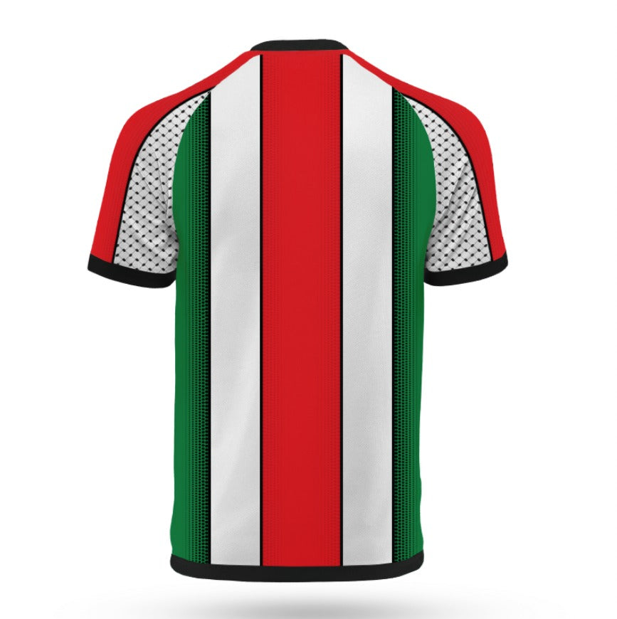 Palestine Concept Football Shirt Green Red White Stripe